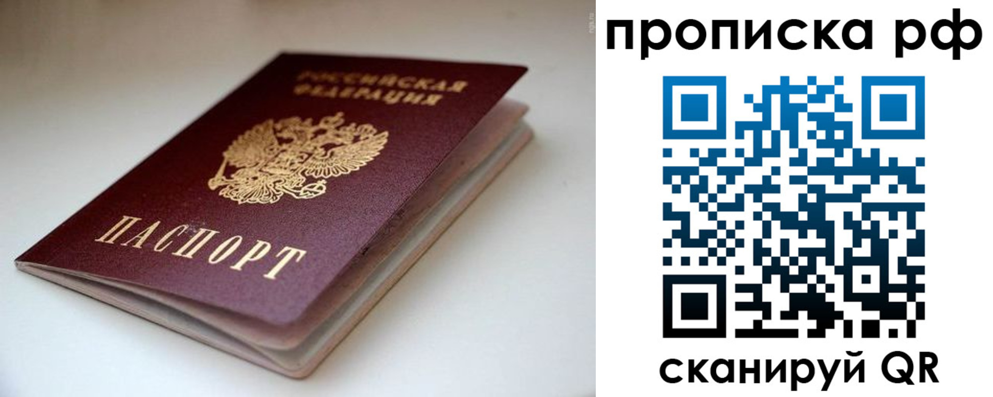 прописка 2025 в Чкаловске